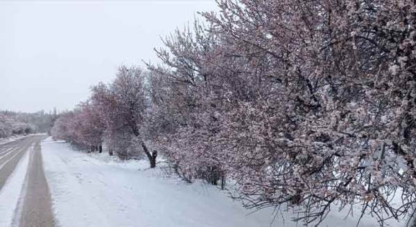 Eskişehir'in o noktasından büyüleyen kar manzaraları