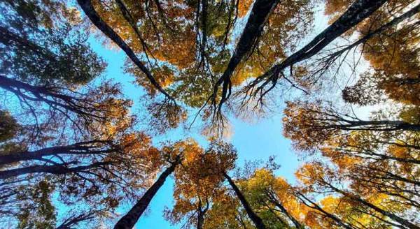 Eskişehir'in saklı cennetlerinde hayran bırakan kareler