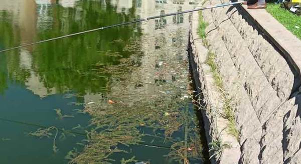 Eskişehir'in simgesinde utandıran görüntü bitmiyor