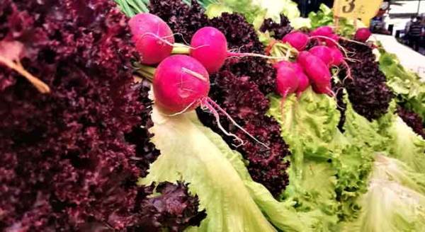 Eskişehir onları özlemişti! Vücut direnci için bire bir...