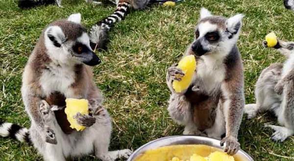 Eskişehir onların isim babası olacak!