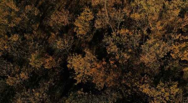 Eskişehir sonbahar renklerine bulandı