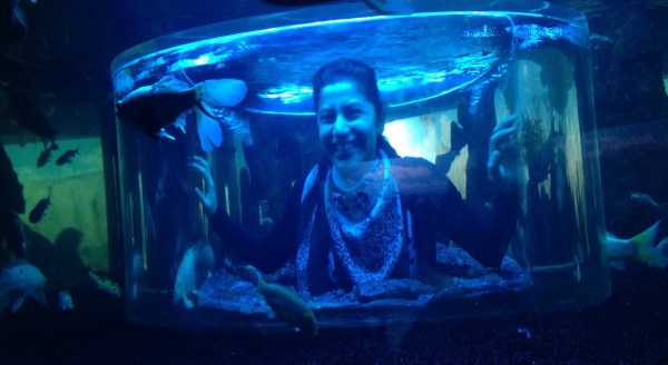 Eskişehir Sualtı Dünyasına ziyaretçi akını