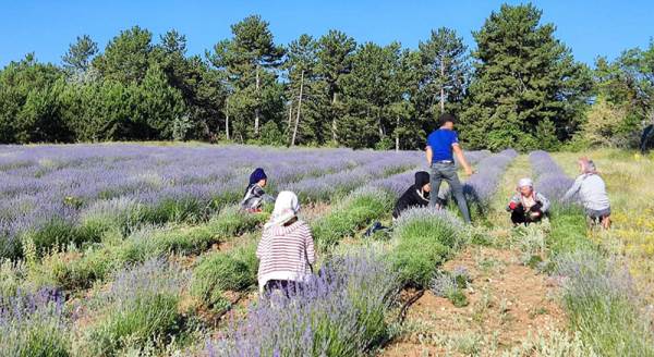 Eskişehirli ailenin ürününe talep büyük!