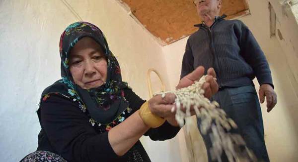 Eskişehirli kadın üreticinin ata tohumları geleceğe miras