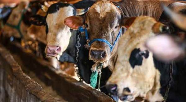 Eskişehirliler fiyatları görünce şaşkına döndü! 