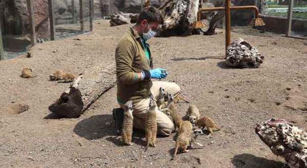 Eskişehirliler onları canlı izleyebilecek!