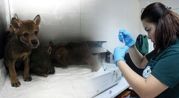 Eskişehirliler plaja akın etti