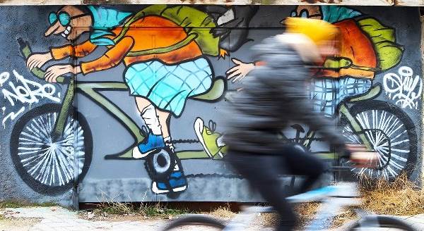 Fotoğraf yarışmasında güzel eserler ortaya çıktı