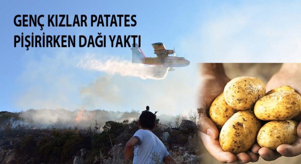 Genç kızlar patates için dağı yaktı