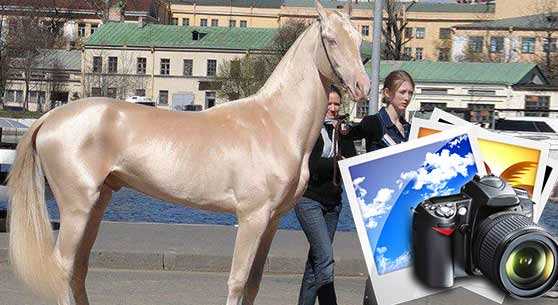 GERÇEK OLAMAYACAK KADAR GÜZELLER