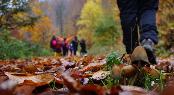 Gezginler Domaniç’in tadını çıkardı