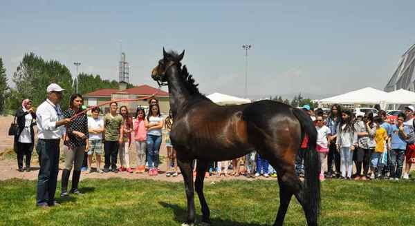 Günlerden Bilim şenliği