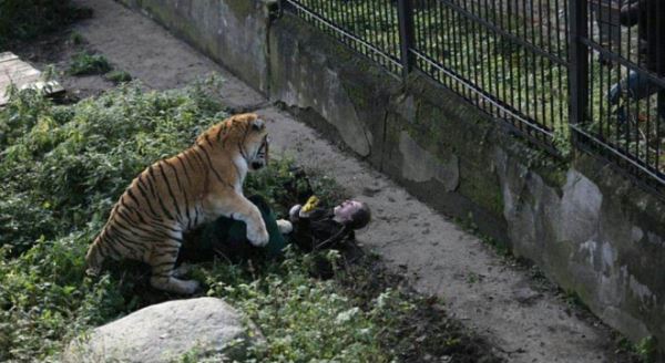 Hayvanat bahçesinde dehşet anı!