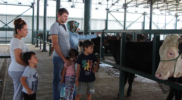 Hayvancılar kurbanlıklara ilgiden memnun değil