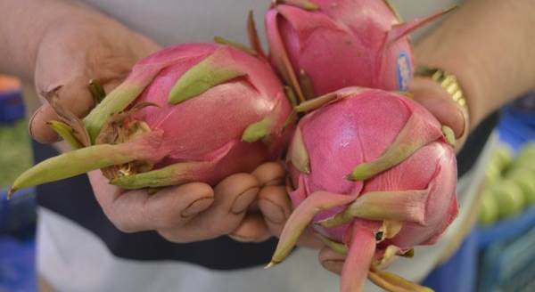 Hem şekli hem de fiyatı şaşırtıyor