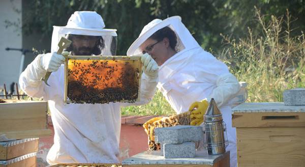Hobi olarak başladılar para kazanıyorlar