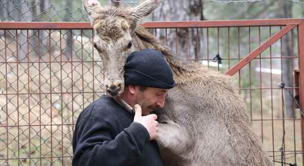 Huzurevi sakinleri yaban hayatı keşfetti
