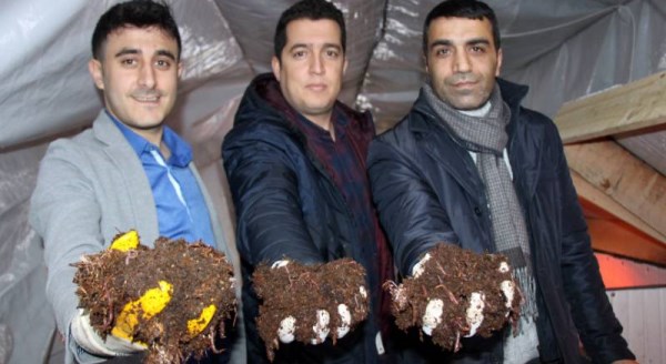 İnternetten öğrendiler, aylık kazançları 15 bin TL!