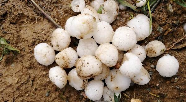 İşte dolunun Eskişehir'de verdiği zarar