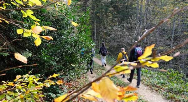 İşte Eskişehir'den sizi doğa yürüyüşüne çıkaracak görüntüler