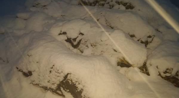 Karın altındakiler sizi çok duygulandıracak!