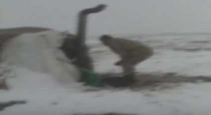 Kato Dağı'ndan dikkat çeken görüntüler