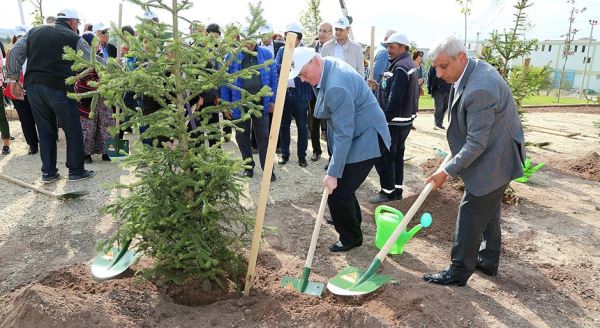 Kazım Kurt: 13 bin 500 adet ağaç diktik