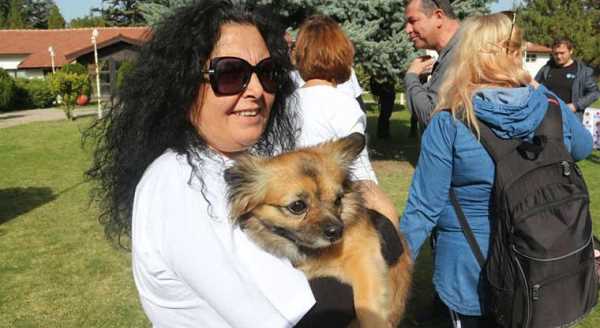 Kedi Evleri Projesi’ne ESYEM’den destek