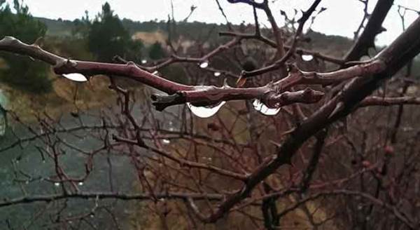 Kütahya'da yağmur sonrası görsel şölen!