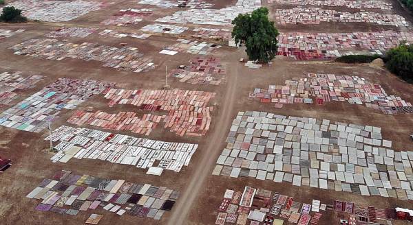 Milyonluk el emekleri tarlalara serildi