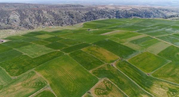 Nisan karı hububata yaradı