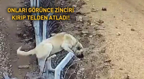 O an kameralar kayıttaydı