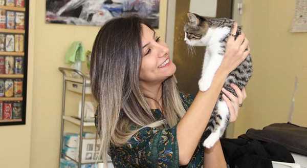 Patili dostlar yararına kedili dövme