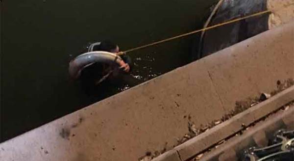 Porsuk Çayı'na düştü, hayatını kurtaran...