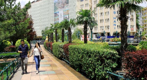 Porsuk Çayı palmiyelerle süslendi