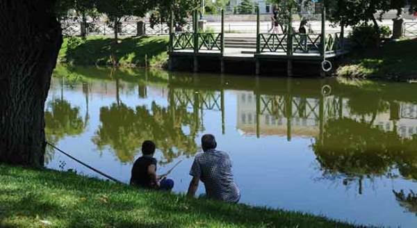 Porsuk kenarı, Eskişehir'de vatandaşların gözdesi!