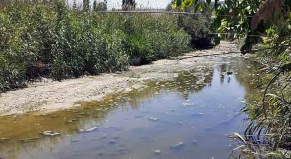 Porsuk'ta endişe veren görüntüler!