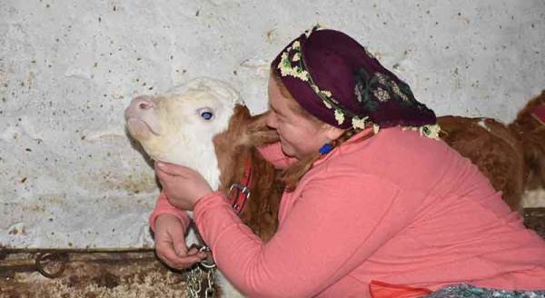 Projeyle hayatını değiştirdi: Eskişehir’de kendi çiftliğini kurdu