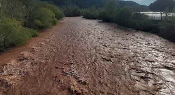 Sakarya Nehri kahverengiye büründü!