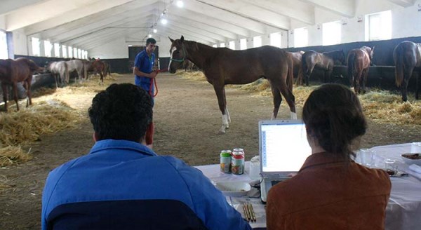 Şampiyonluk adayları görücüye çıkıyor