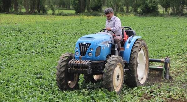 Satamadıkları ıspanağı tarlaya gömdüler