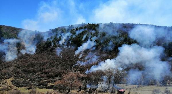 Seyitgazi Yarbasan'da orman yangını