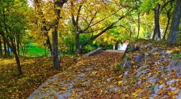 Sonbahar, Eskişehir'i eşsiz renklere boyuyor
