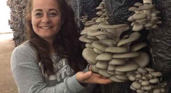 Sürekli tüketilirse inanılmaz faydası var