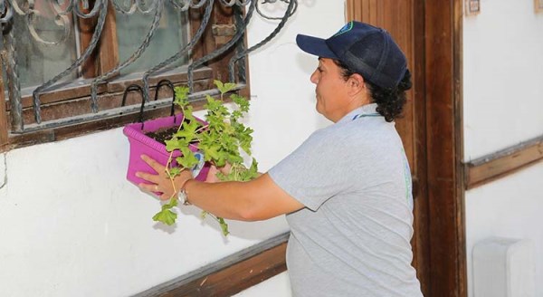 Tarihi Odunpazarı çiçek açtı