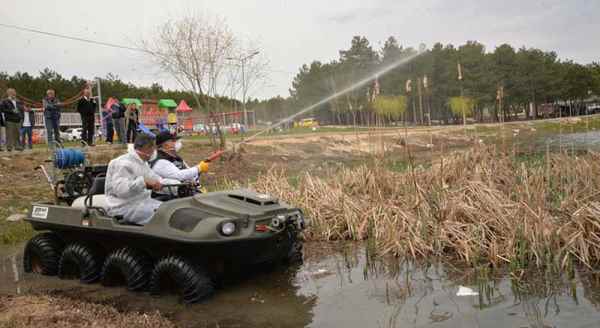 Türkiye'de ilk, ağaçlar koruma altında