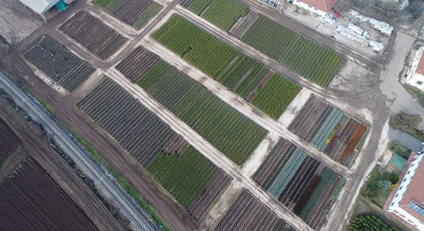 Türkiye'nin akciğeri tepeden görüntülendi
