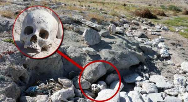 Tüyler ürperten görüntü!