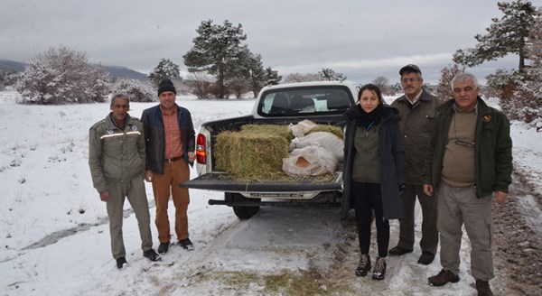 Yaban hayvanlarını unutmadılar